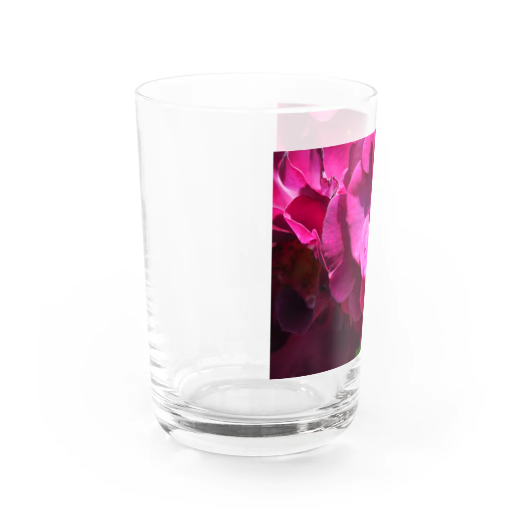 morinoyouseiの華やかな舞踏会！美しいバラを舞台に華麗なダンスをするハチ Water Glass :left