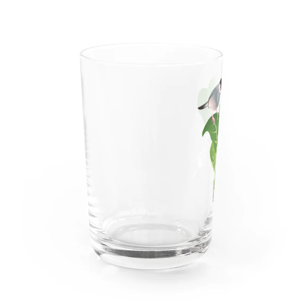 satobuncho8の小松菜と文鳥 Water Glass :left