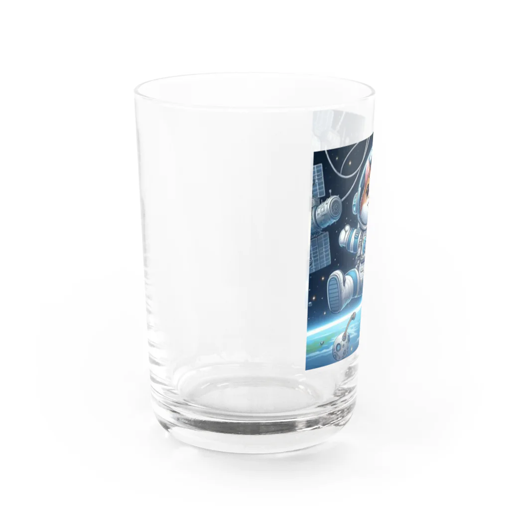 フルヤの宇宙で漂う宇宙飛行猫 Water Glass :left