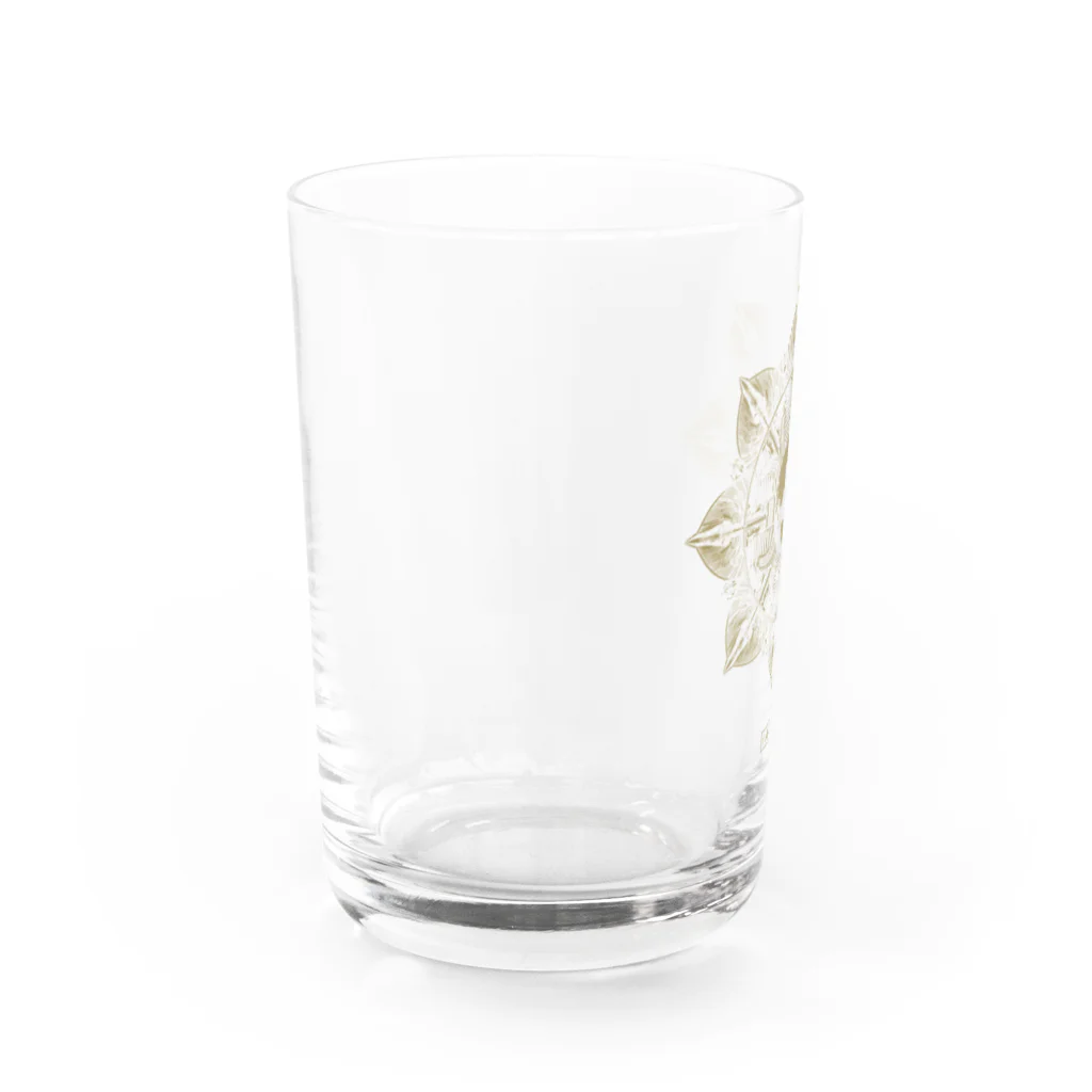 ∞INFINITY∞の復古の大号令 Water Glass :left