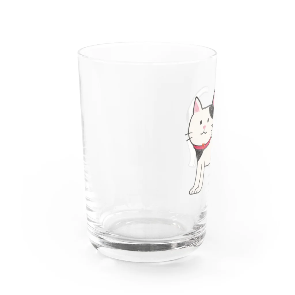 gattyoデザインのくすっと笑える雑貨たちの「くろぶちにゃん – おすまし猫の横顔」 Water Glass :left