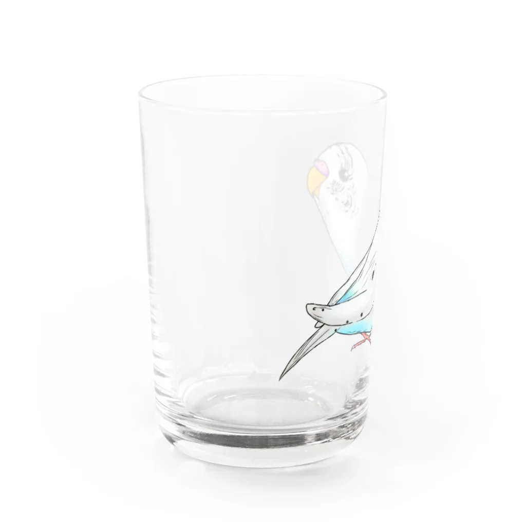 Lily bird（リリーバード）のセキセイインコのピーコちゃん Water Glass :left