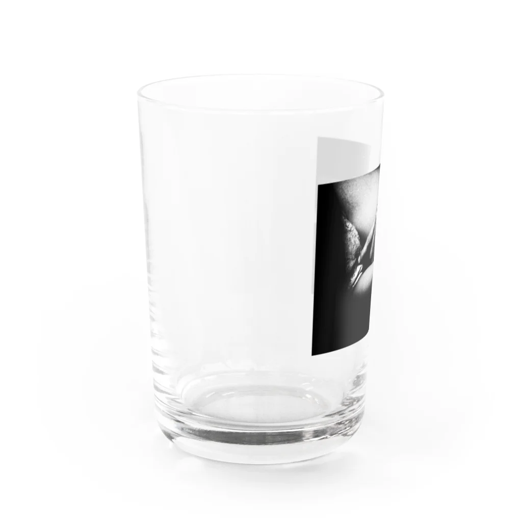 視覚世界の哲学的指示 Water Glass :left