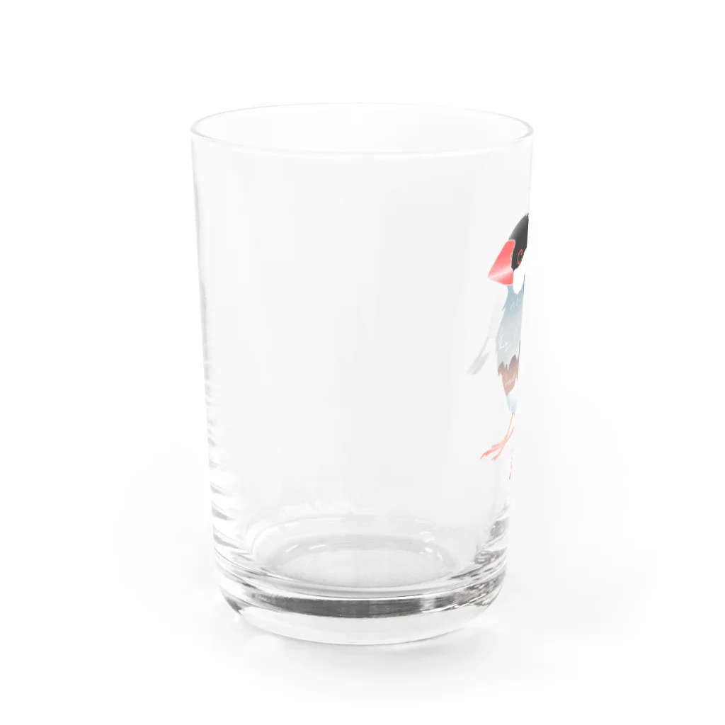 福みみチュンの濡れ文鳥 Water Glass :left