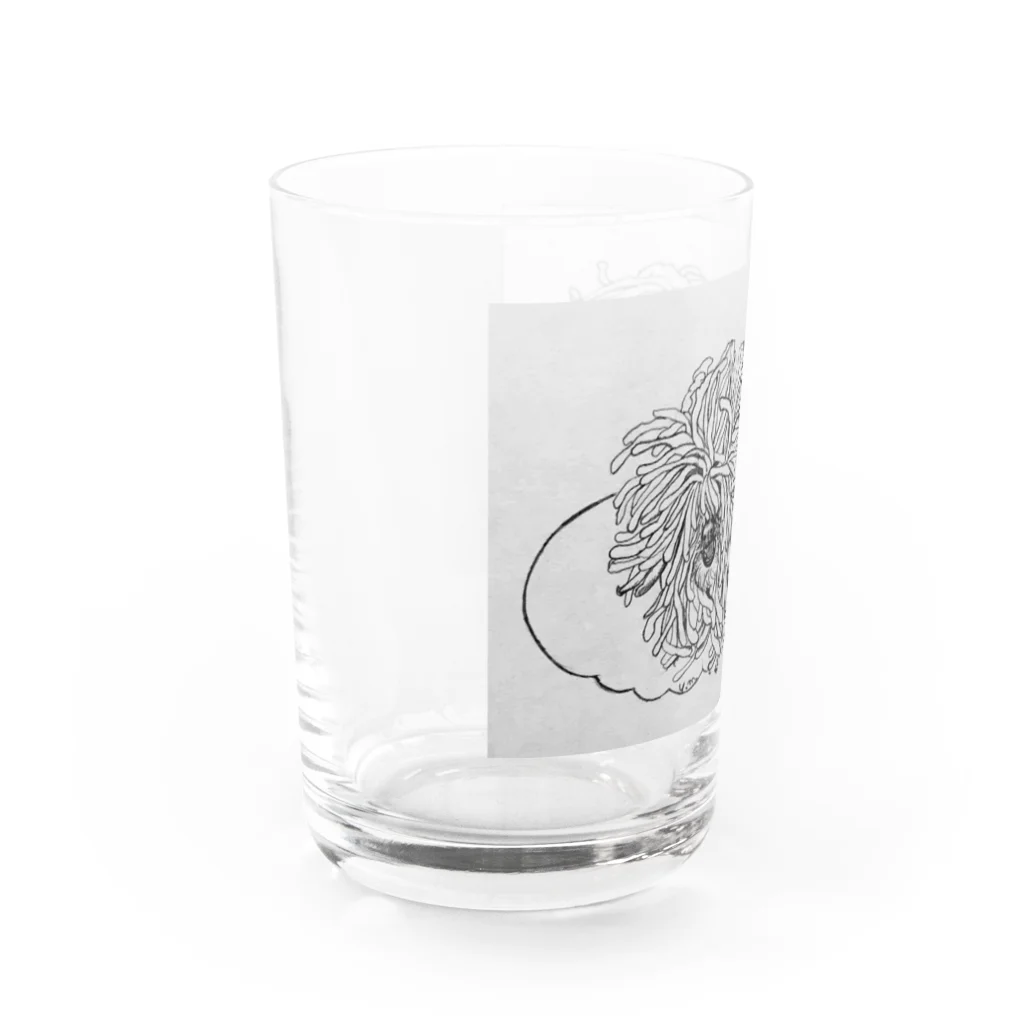 光平洋子のかしこいプーリー犬が転がる。 puli illustration  Water Glass :left