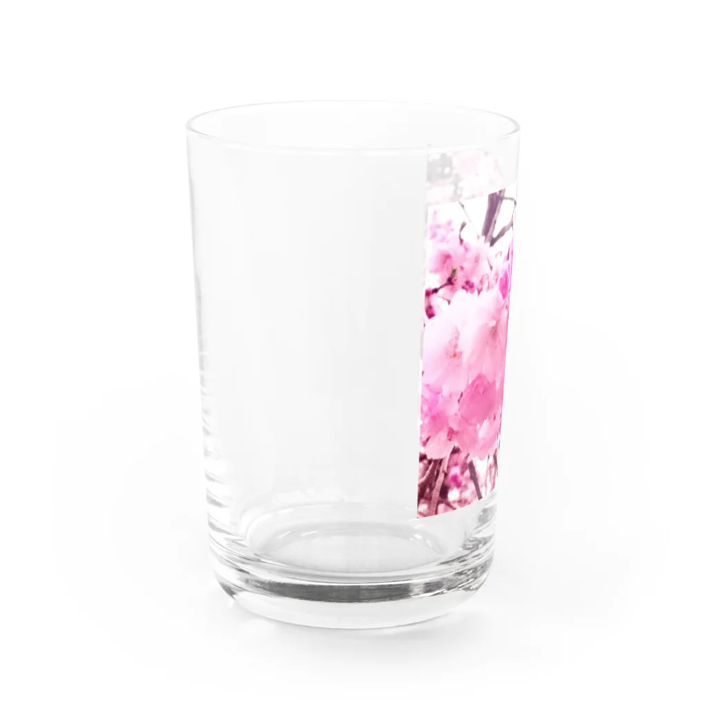 8216vividの八重桜 Water Glass :left
