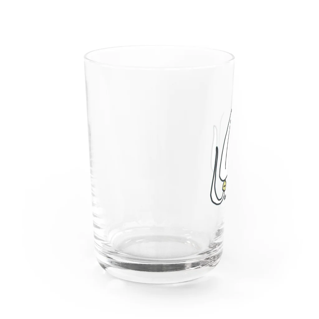 イカてゃのアオリイカ Water Glass :left