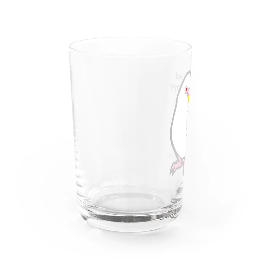 サトウユキエのハッピーインコ・セキセイアルビノ Water Glass :left