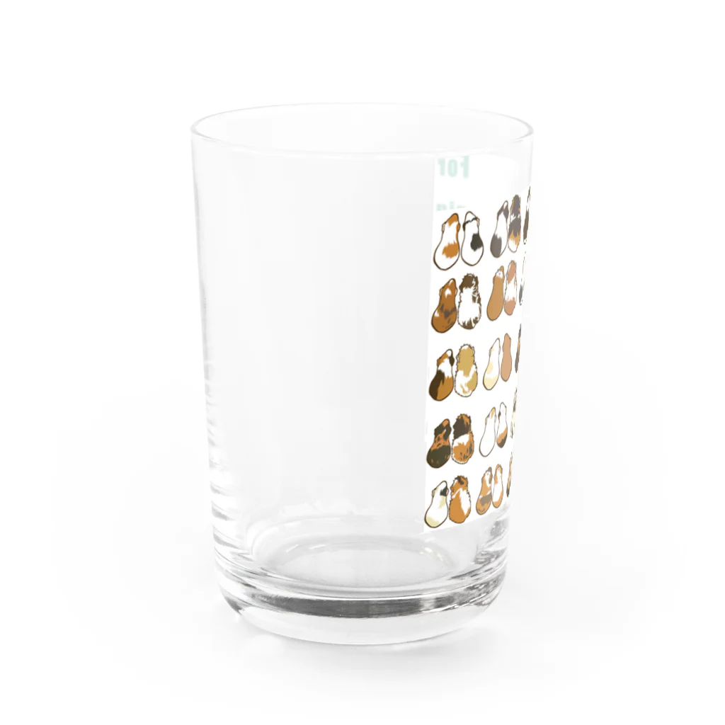 Lichtmuhleのシンプルモルモット２背面 Water Glass :left