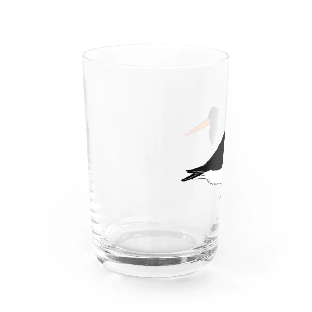 minatoriのミヤコドリさん Water Glass :left