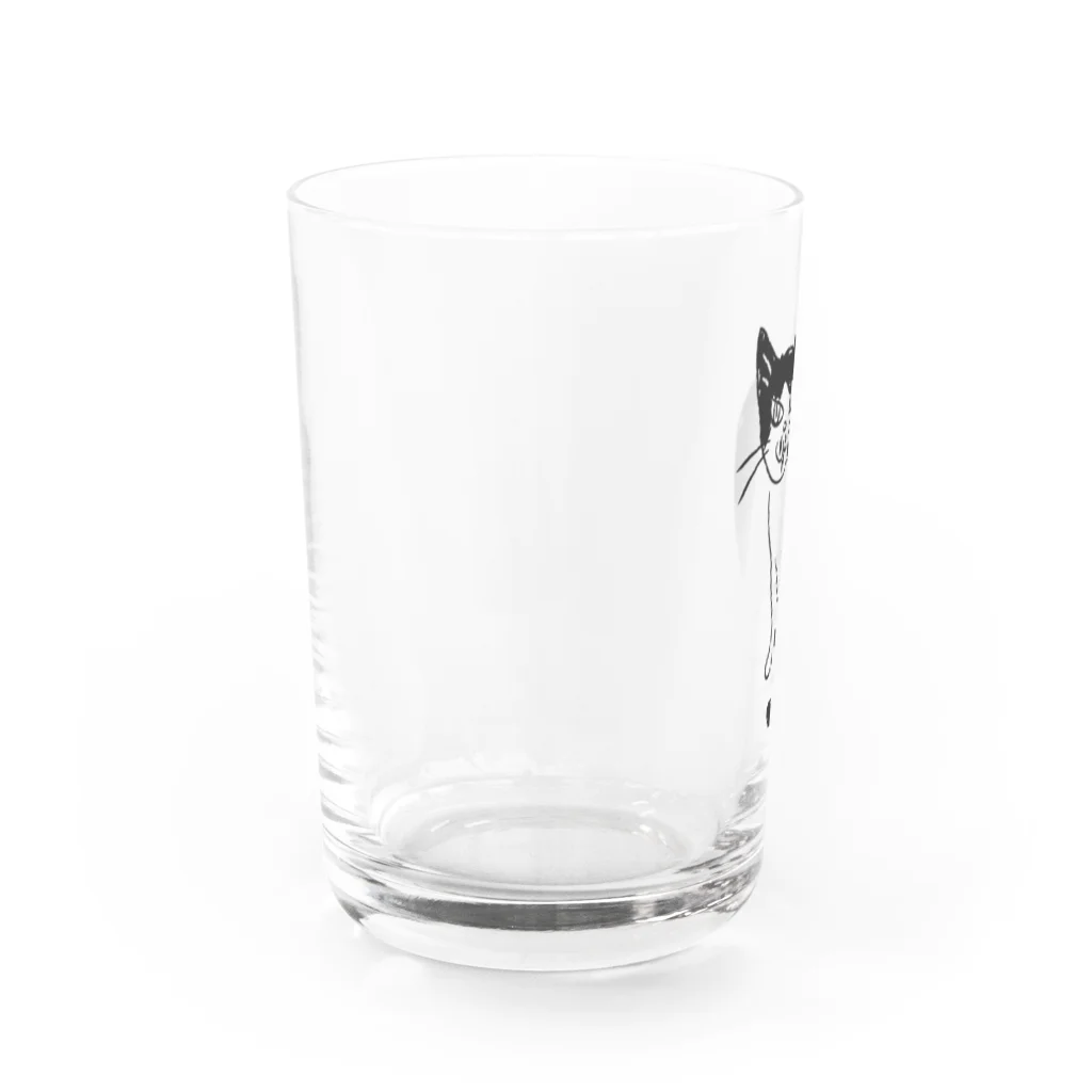 むしんちのニヒルな猫 Water Glass :left