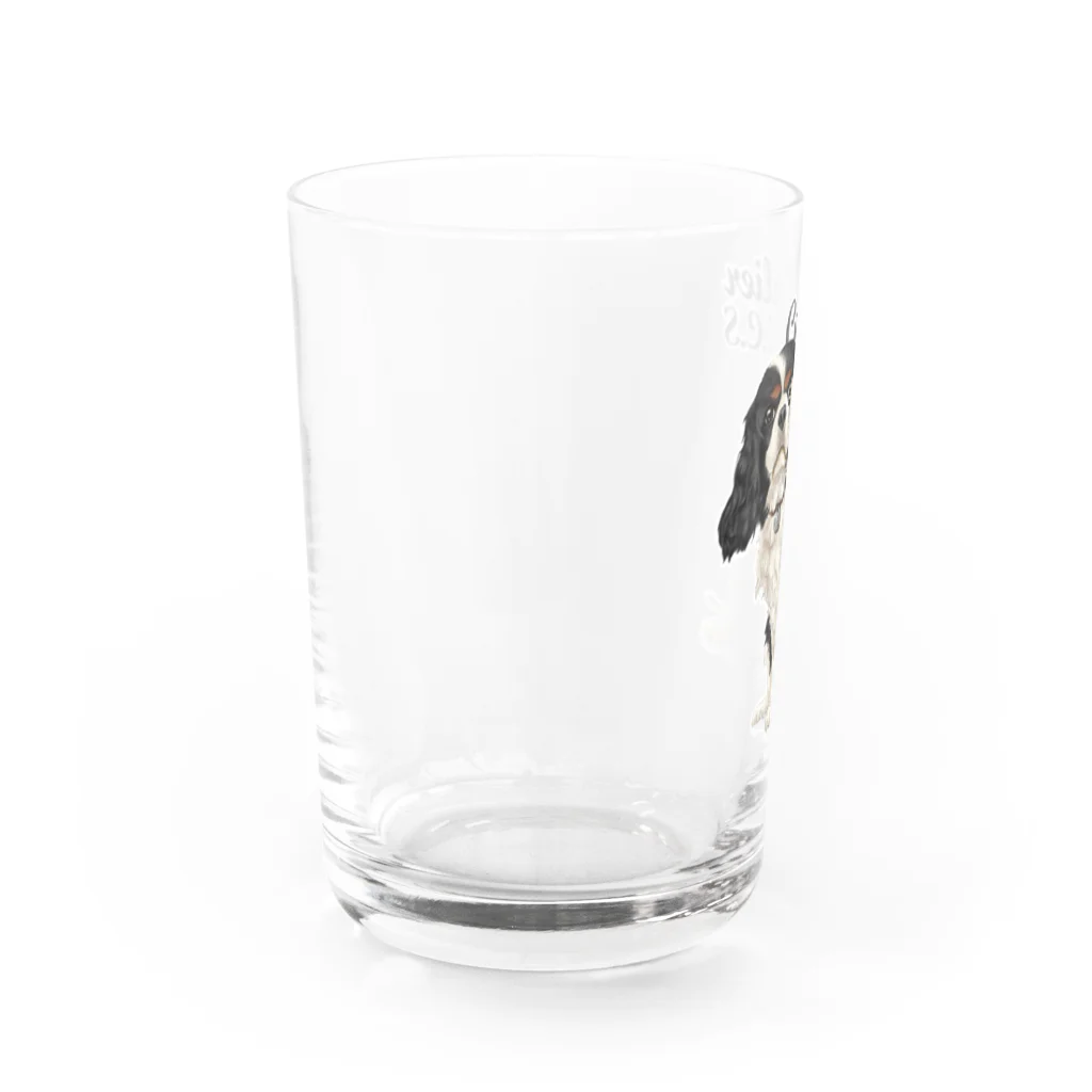 Shimiyasuのキャバリア№09 ちょいちょいトライカラー Water Glass :left