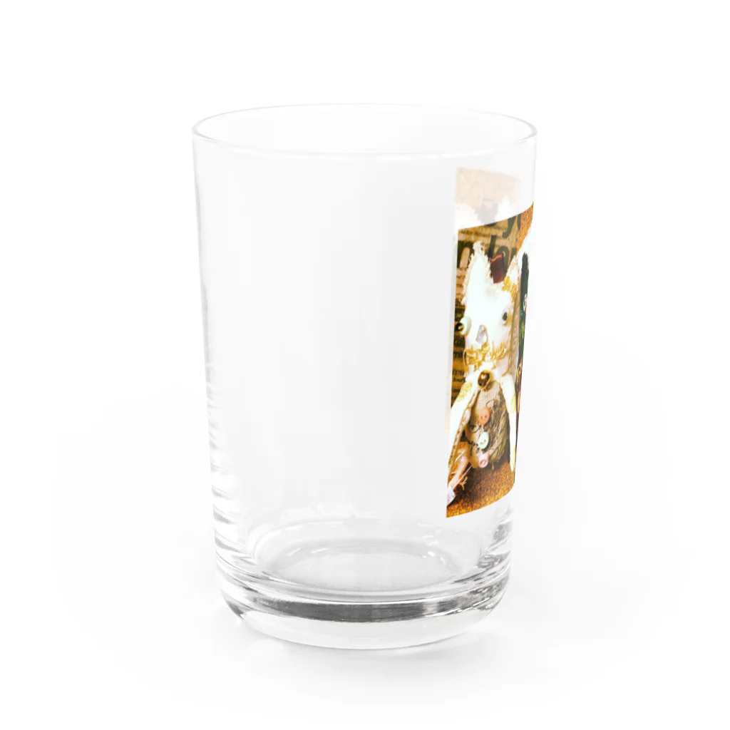 xxxmisakixxxのねこちゃんだよ Water Glass :left