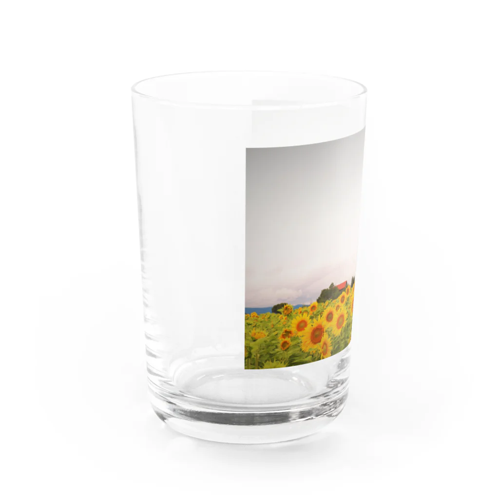 namonaki_hituziのひまわり Water Glass :left