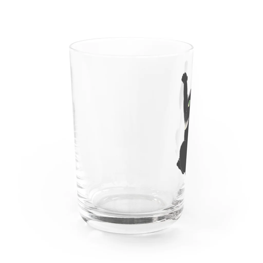 2gawaの黒猫　だっっこ Water Glass :left