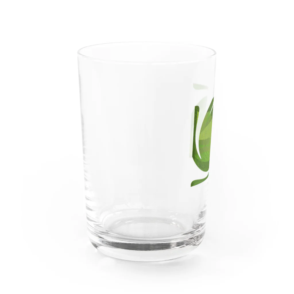 水草の藻１ グラス左面
