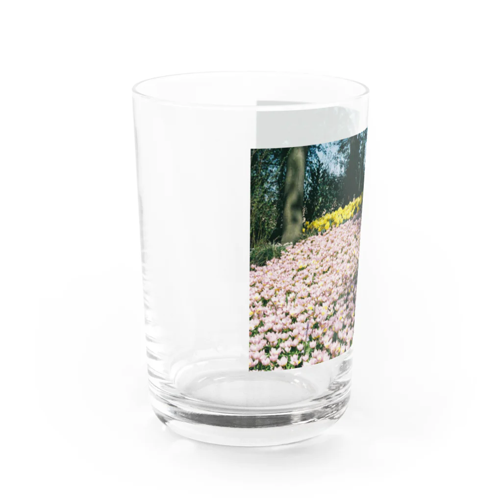 𝑅𝑖𝑛𝑎 𝐴𝑚𝑎𝑔𝑎𝑦𝑎のOnly  not Lonely Water Glass :left