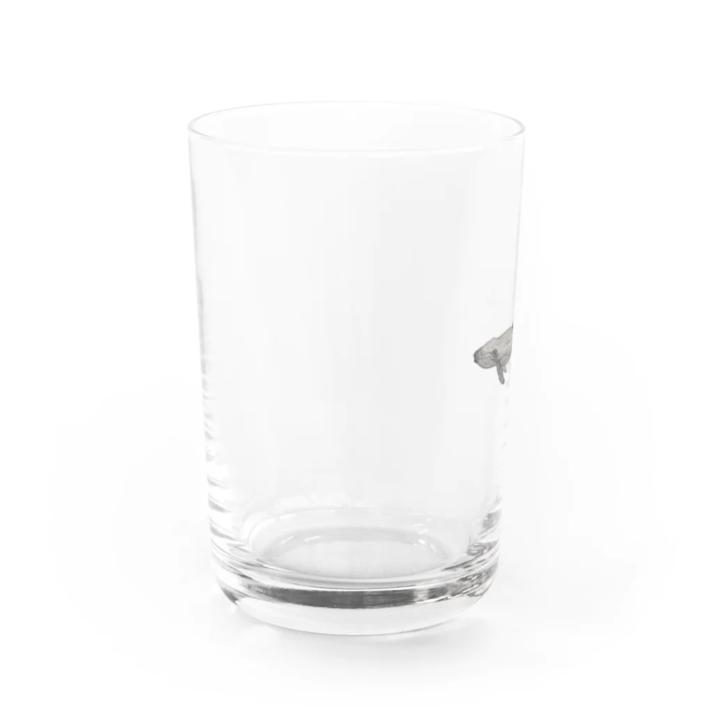 MANDALA MADARAの鯨 Water Glass :left