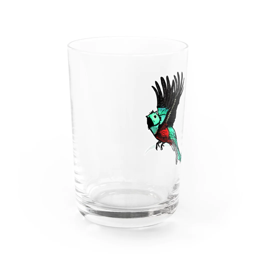 ぺちぺち工房 Pechi Pechi Atelierの世界一美しい鳥 ケツァール Water Glass :left