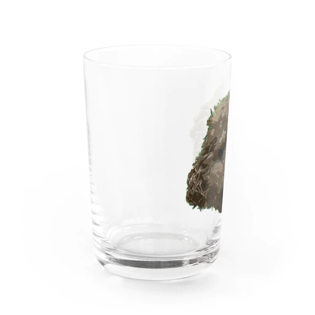 NORITAMAのトイプードル Water Glass :left