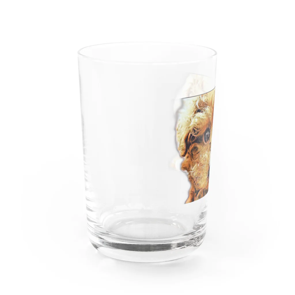 Paloのコハクちゃん Water Glass :left