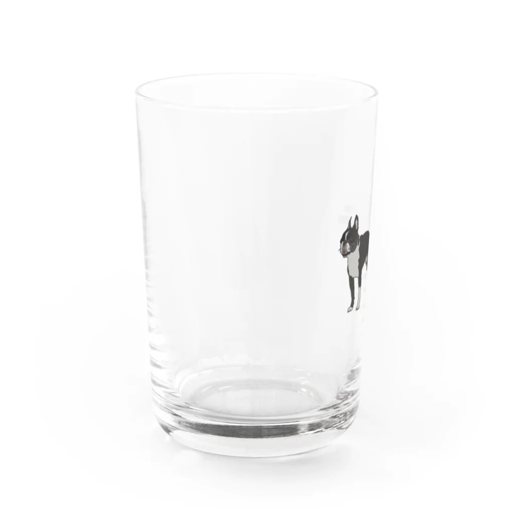 Park a Holic BostonterrierのPark a Holic Bostonterrier Water Glass :left