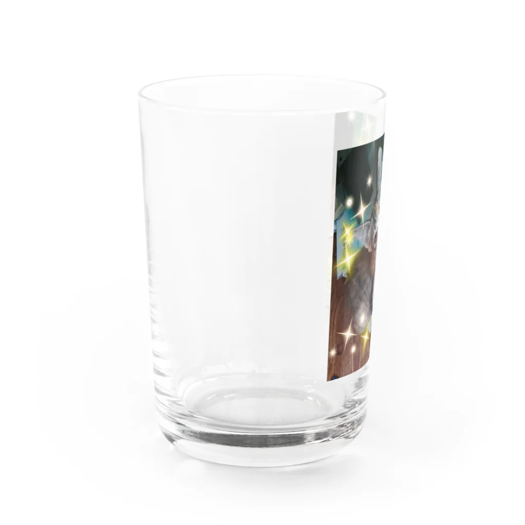 YUKO-YUKOのカメラ目線ネコちゃん♥️ Water Glass :left