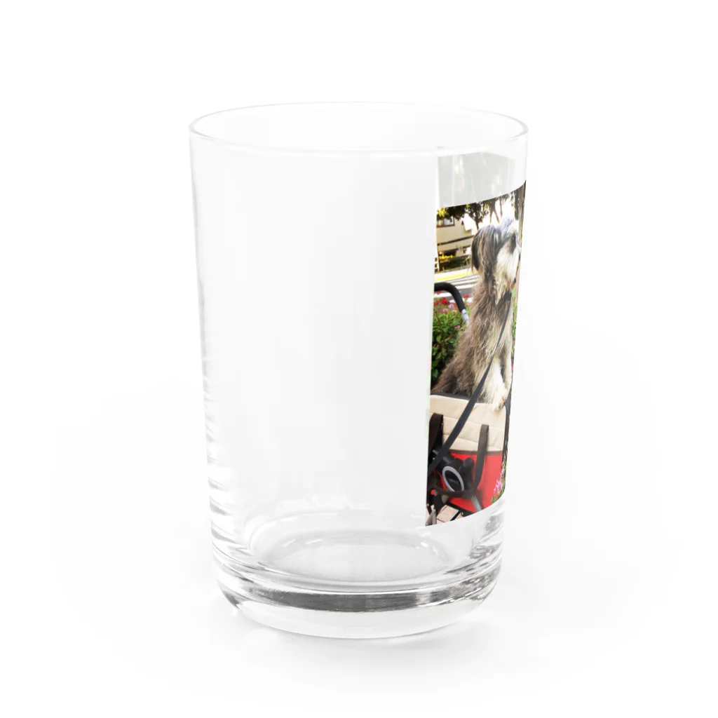 RIKI&MIKIのトランプくん Water Glass :left