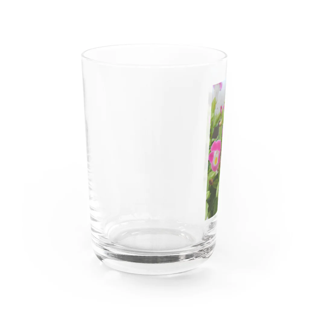 飼育係のFlower Water Glass :left