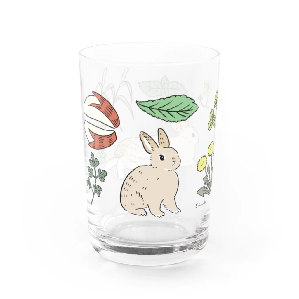 SCHINAKO'Sのチェスナットのうさぎさん Water Glass :left