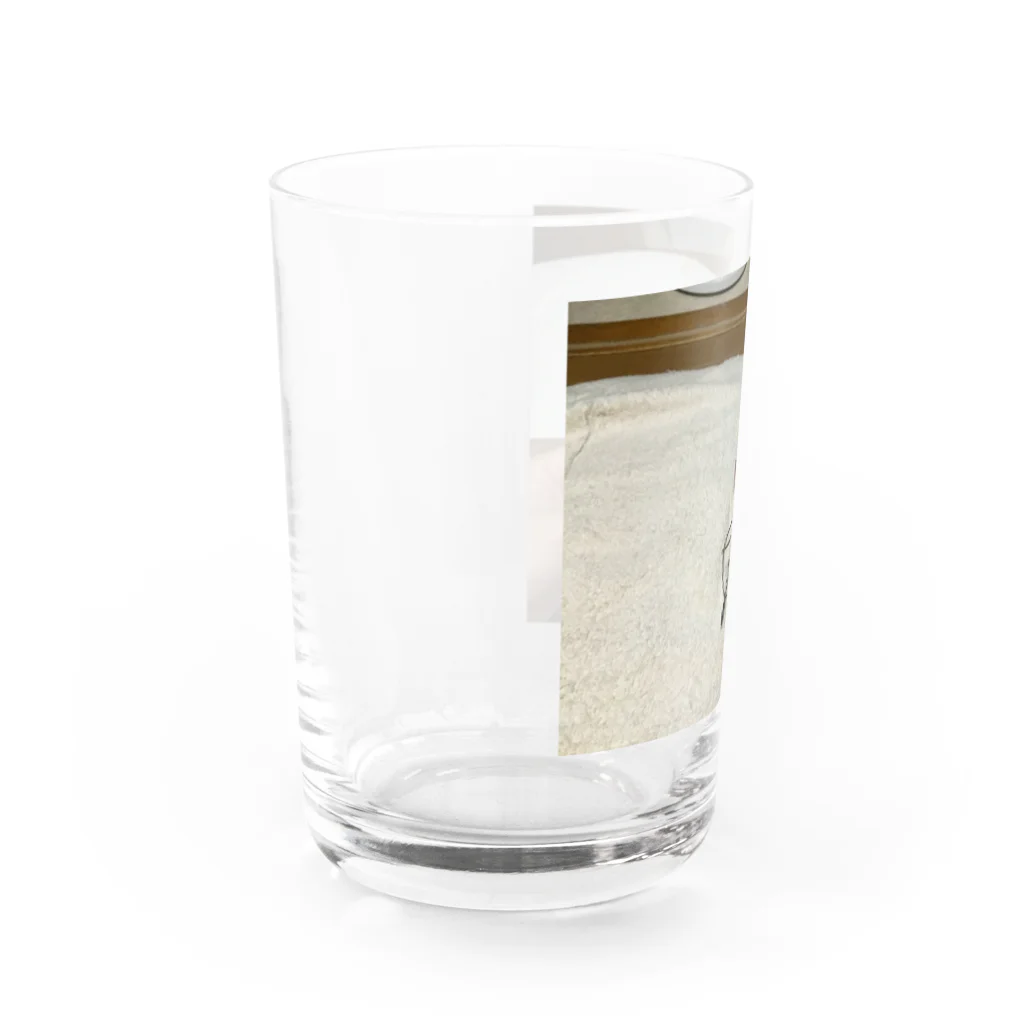 OIOI のBUN Water Glass :left