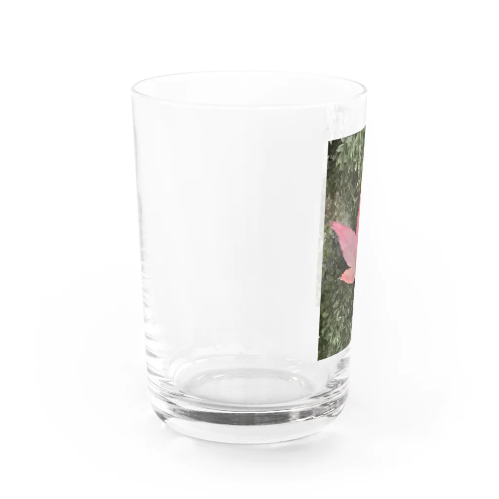 Ritsukokoroのmomijiee Water Glass :left