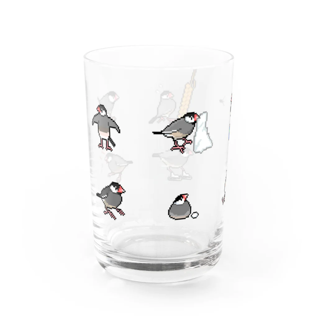 たかはらの桜文鳥が集合したよ Water Glass :left