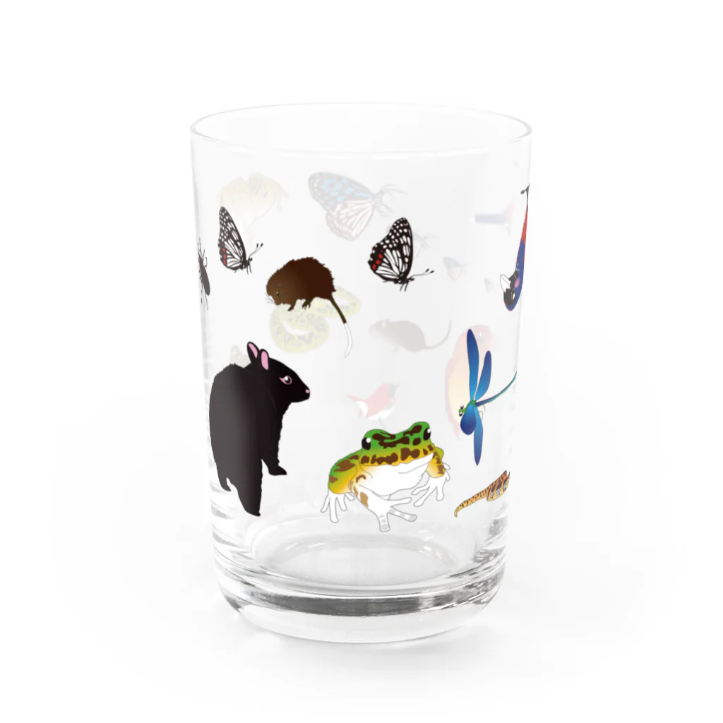 さいきみき｜ぞうさんのお絵かき屋の奄美のいきものたち Water Glass :left