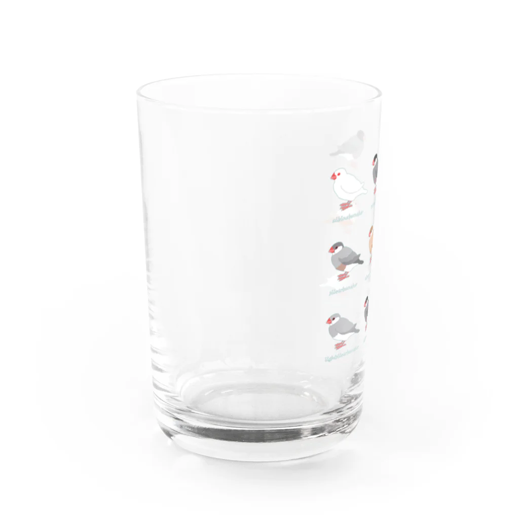 福みみチュンの文鳥ナイン② Water Glass :left