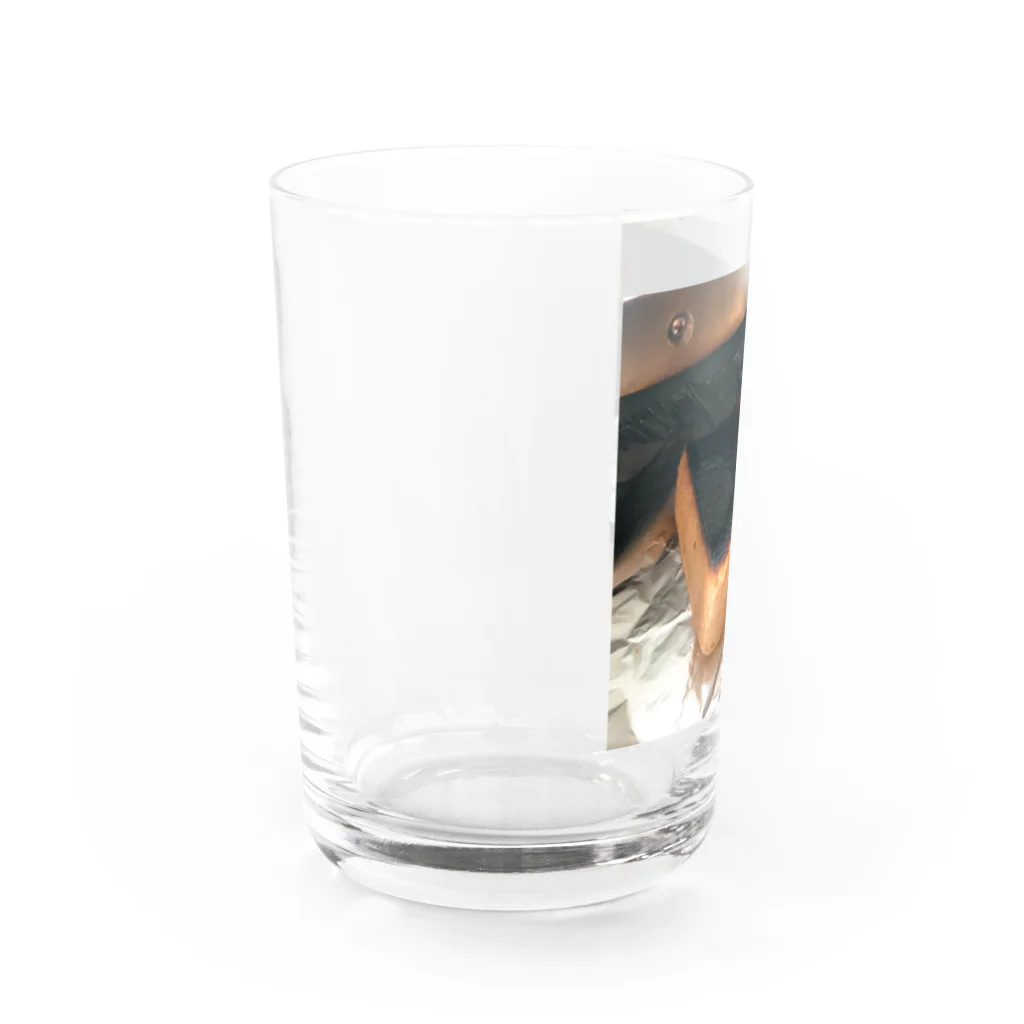 o_omeganeo_oの焦げパン Water Glass :left