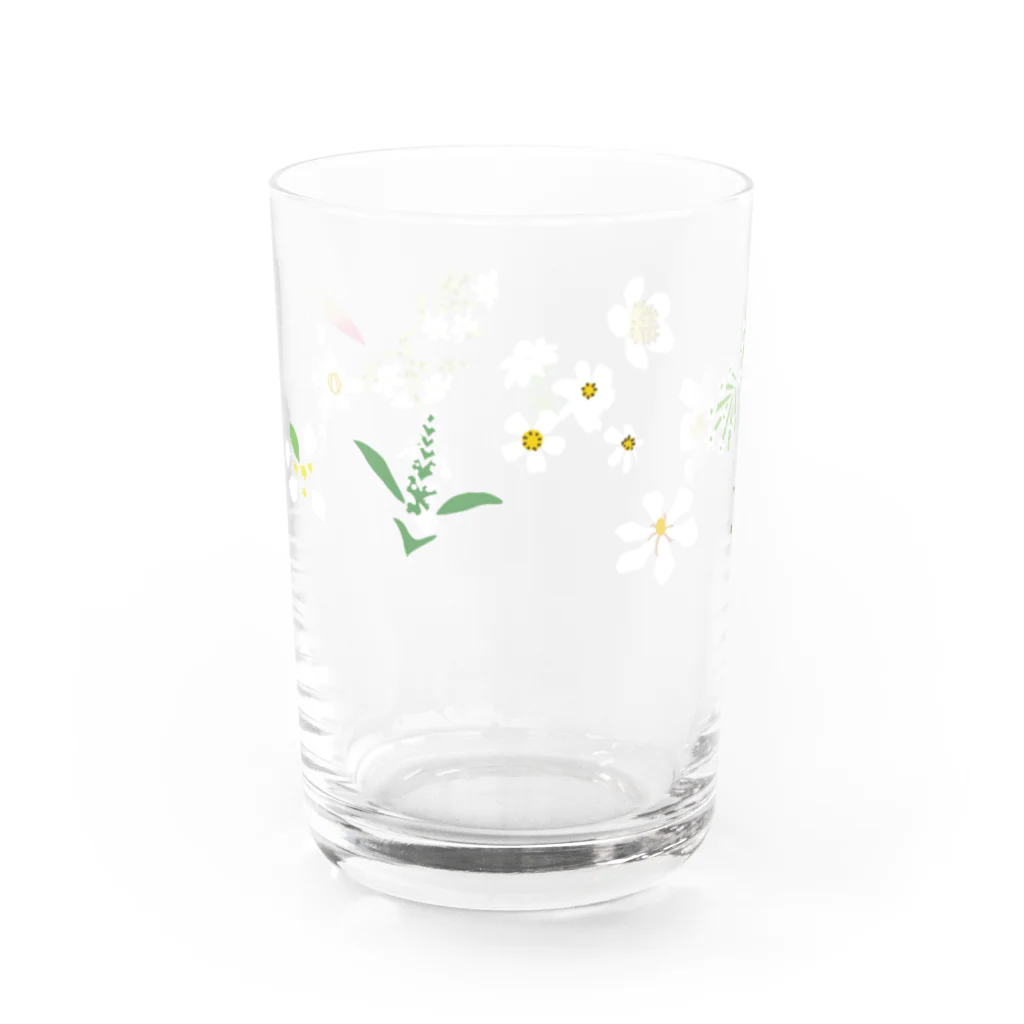 しまのなかまfromIRIOMOTEの西表島の白い花（11種） Water Glass :left