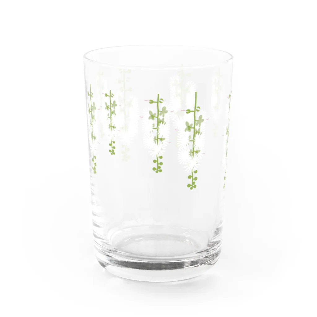 しまのなかまfromIRIOMOTEの西表島の白い花（サガリバナ） Water Glass :left