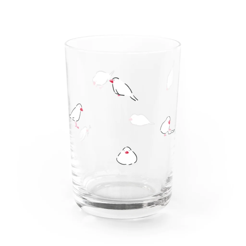 kfkxのシロブンチョウ Water Glass :left