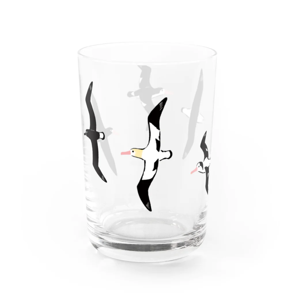 piro piro piccoloのアホウドリたち Water Glass :left