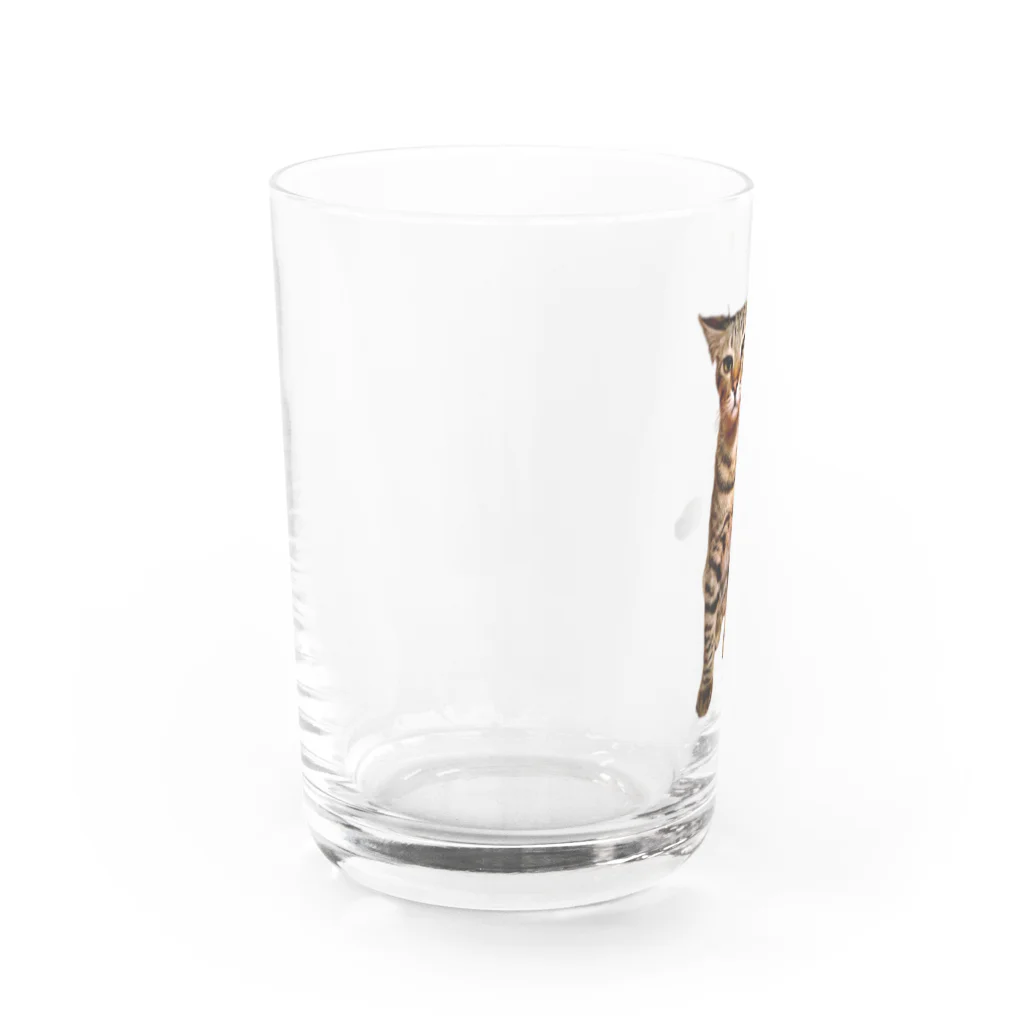 ぷるの反抗期 Water Glass :left