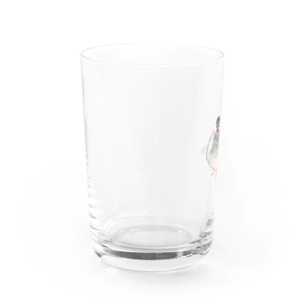 tomocoの桜文鳥 Water Glass :left