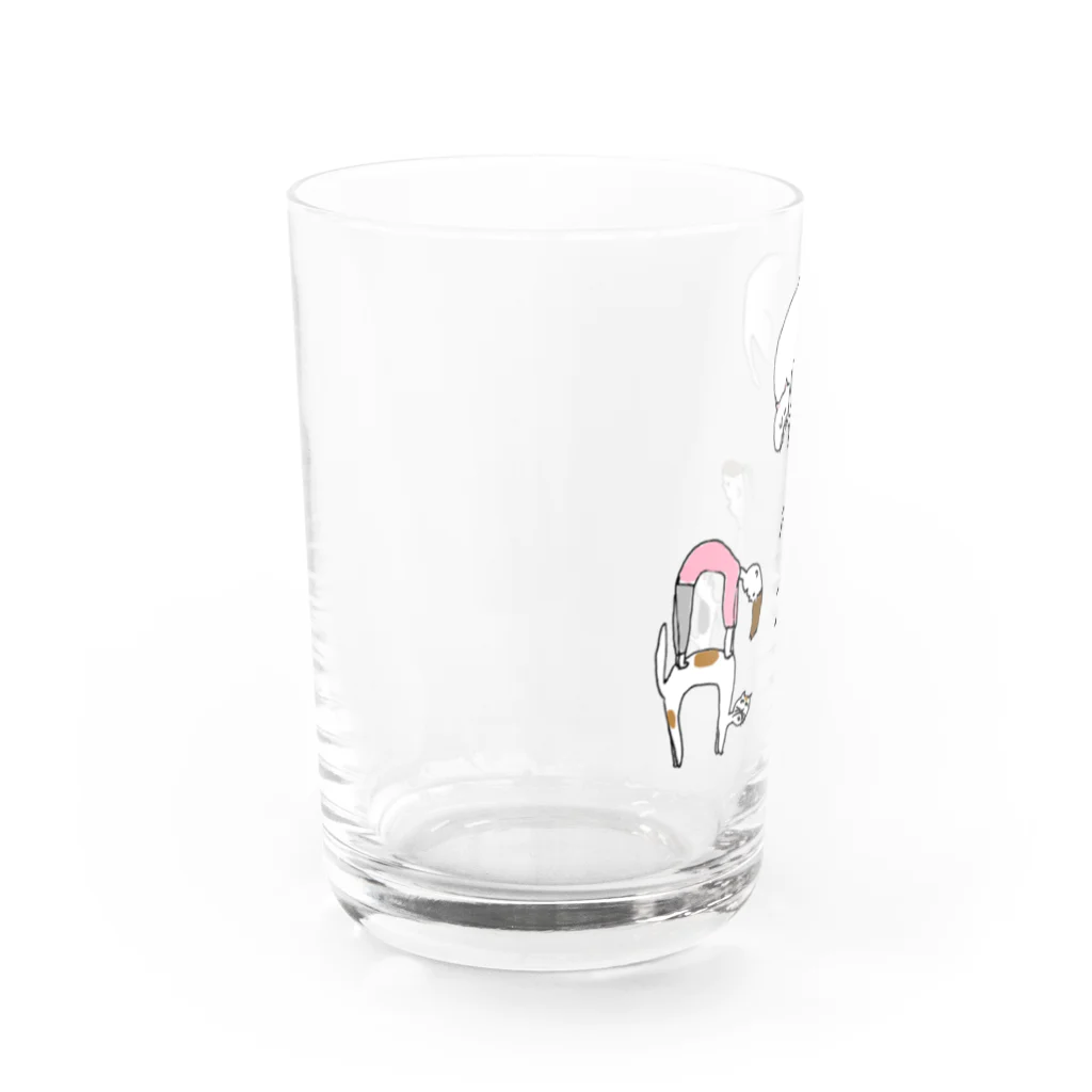 室井雑貨屋のねこ派 Water Glass :left