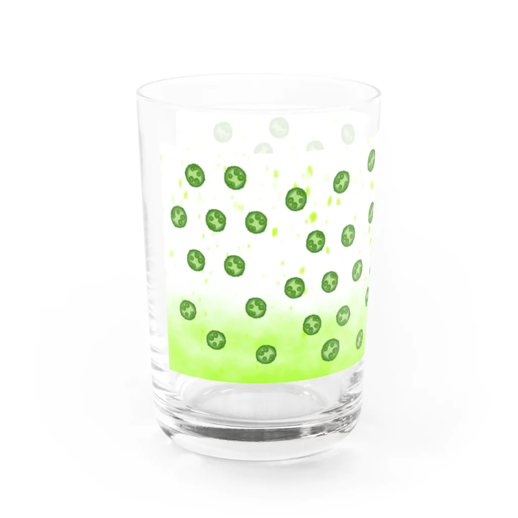 sasami.<ささみ>のボルボックス（親友）グラス Water Glass :left