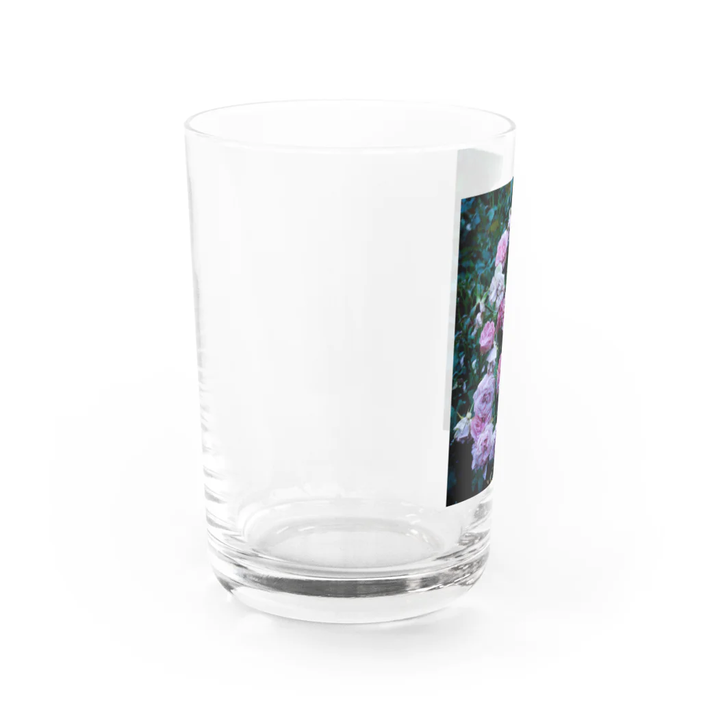 脳海の濡れた薔薇 Water Glass :left