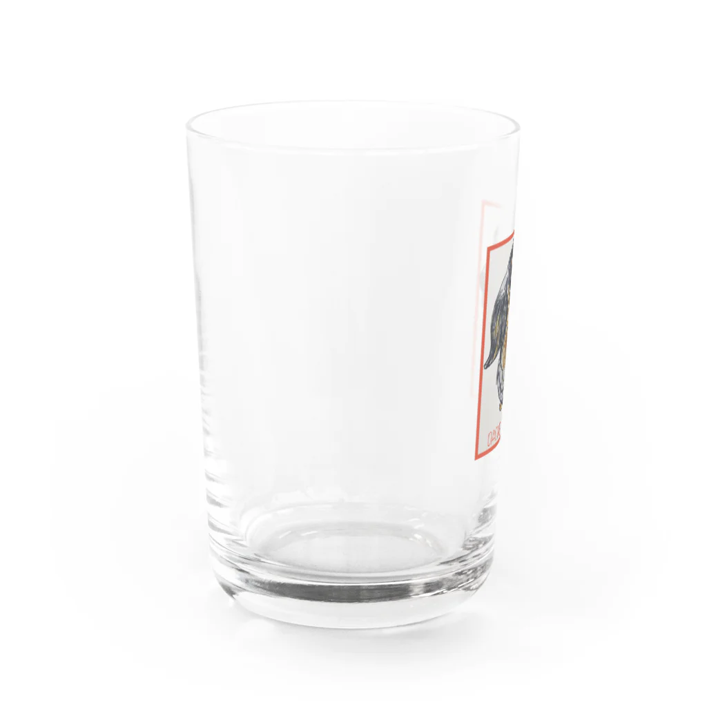 NUNAのペロペロダックス　あろちぃ　縁取り Water Glass :left