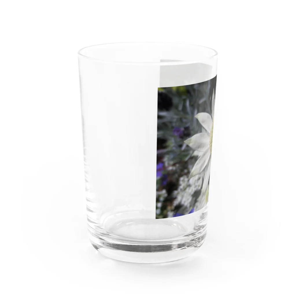 Dreamscape(LUNA)のそのままの君で良いよ Water Glass :left