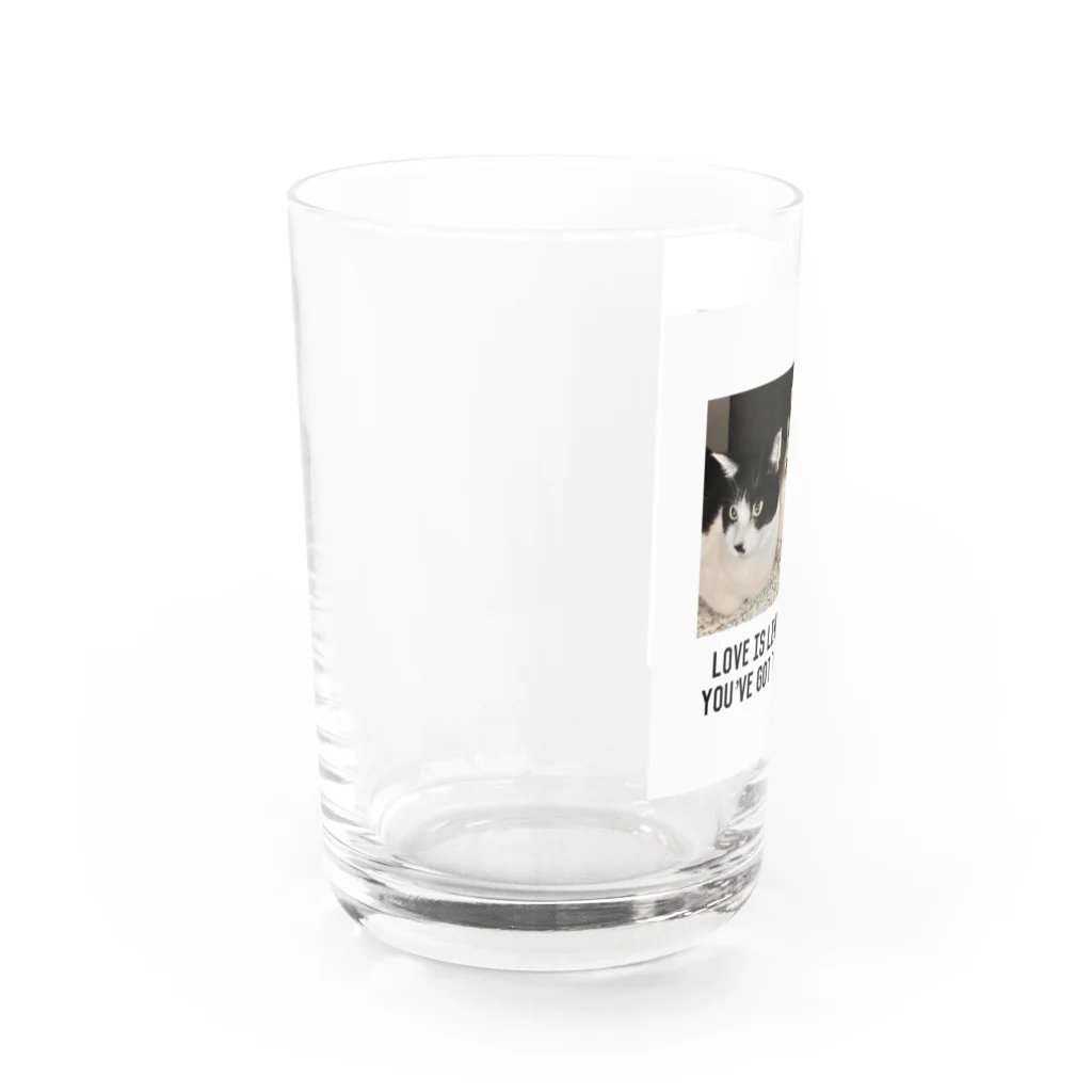 おだちゃんと7匹の猫たちの4兄妹 Water Glass :left