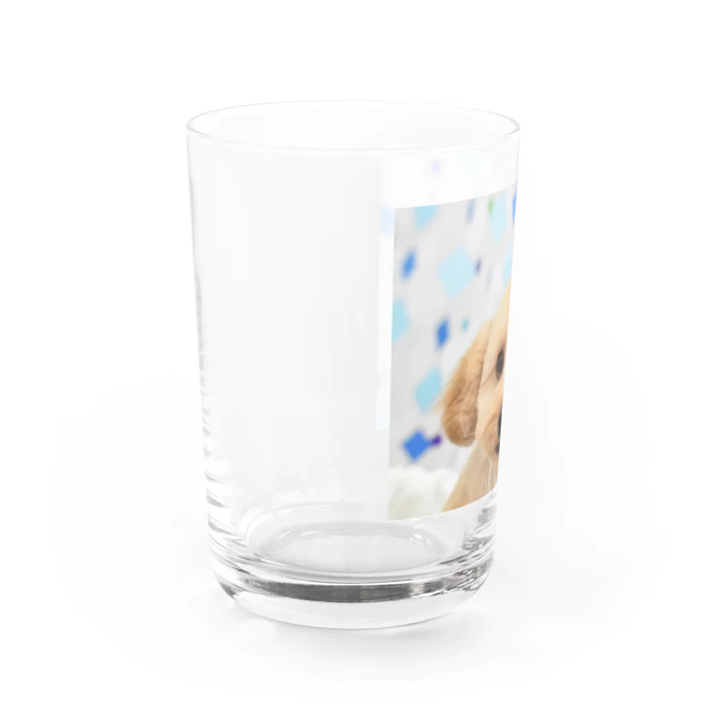 Titaniaのわんこ Water Glass :left