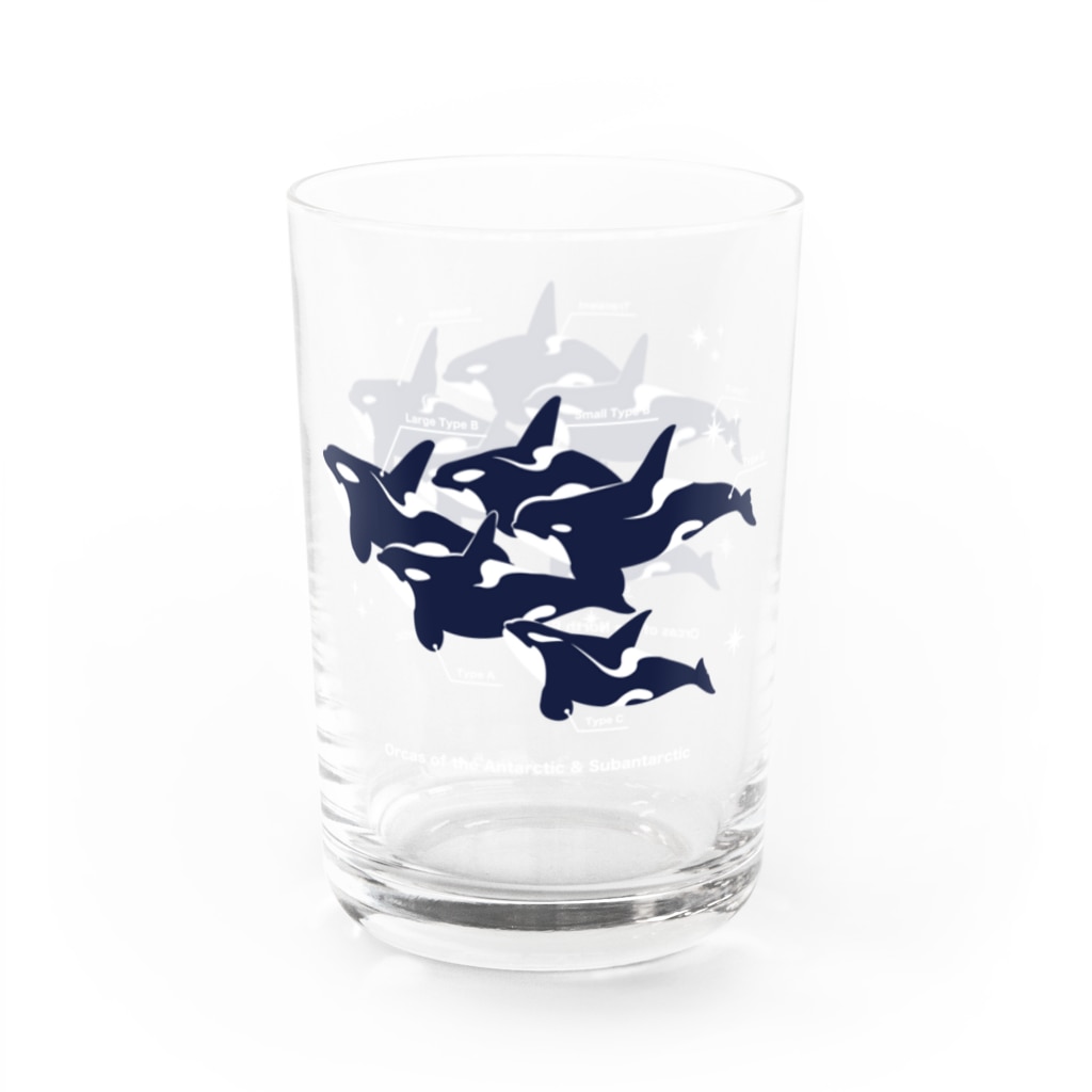 みなとまち層のグラスワールドType:Orcas Water Glass :left